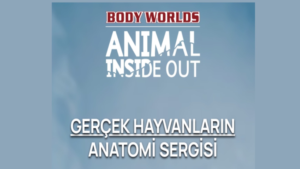 Gerçek Hayvanların Anatomi Sergisine Gezi Düzenledik.